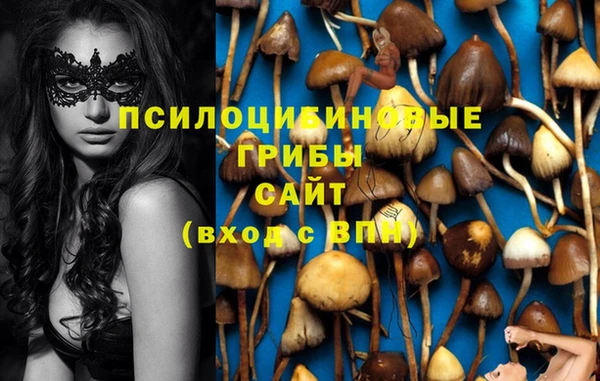 PSILOCYBIN Белоозёрский